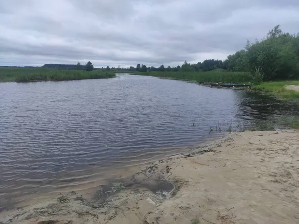 На річці Стохід у Любешові розпочали розчистку русла (фото)
