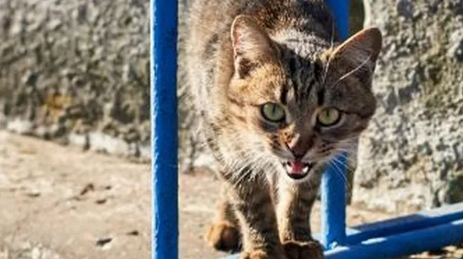 Фото ілюстративне