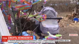 На Вінничині домашній кіт задушив немовля (відео)
