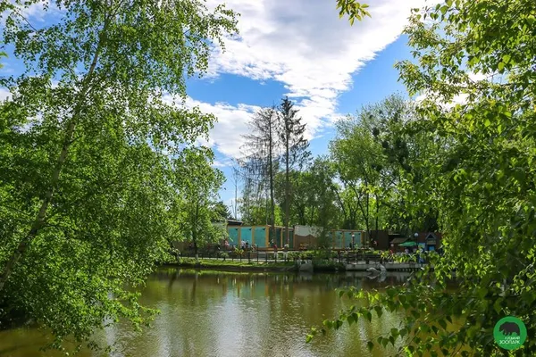 Праворуч у водоймі можна побачити дельфінів із фонтану. Тепер вони живуть у Луцькому зоопарку