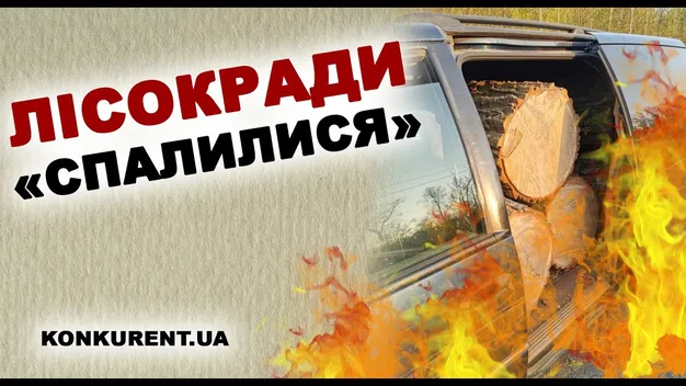 «Майстер лісу впізнав палія», – розповіли деталі підпалу в Цуманському лісгоспі (відео)