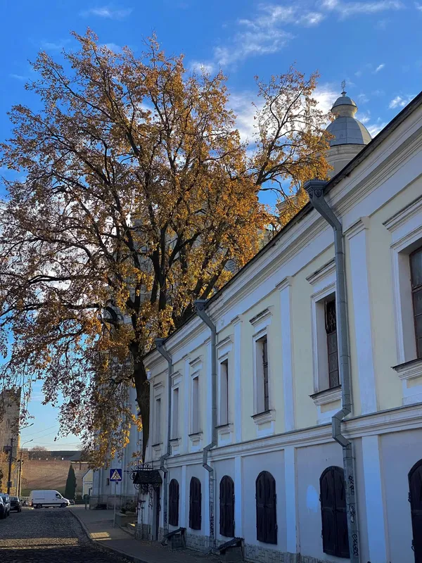 Листопадове сонце погуляло вуличками Луцька (фото)