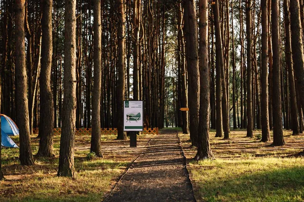 Поблизу озера Велике Згоранське облаштували нову екологічну стежку (фото)