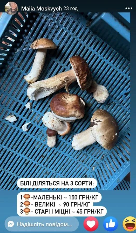 Вторгувала 500 гривень: військова з Луцька розповіла, в яку ціну приймають гриби (фото)
