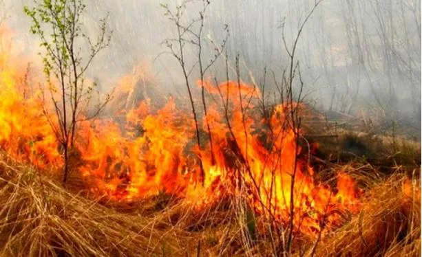 Це – зумисні підпали, – головний рятувальник Волині про спалювання сухостою