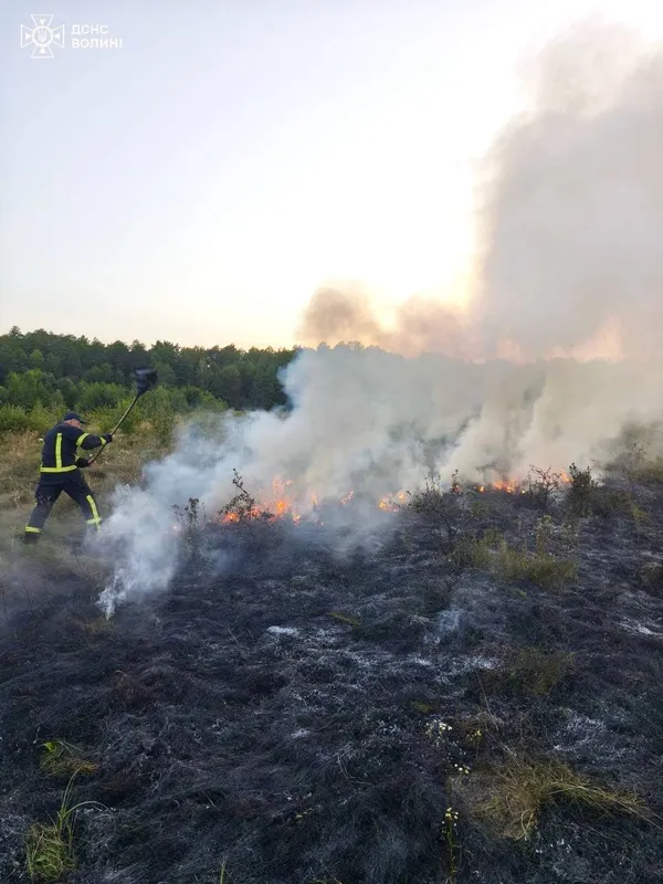 На Волині рятувальники впіймали трьох паліїв: їм виписали великі штрафи (фото)