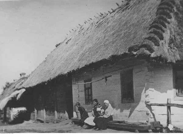 Солом'яний дах та деревʼяні вікна: якими колись були волинські хати (фото)