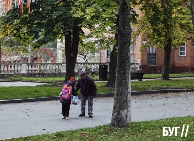 У Нововолинську містяни збирають каштани, які можна здати на переробку (фото)