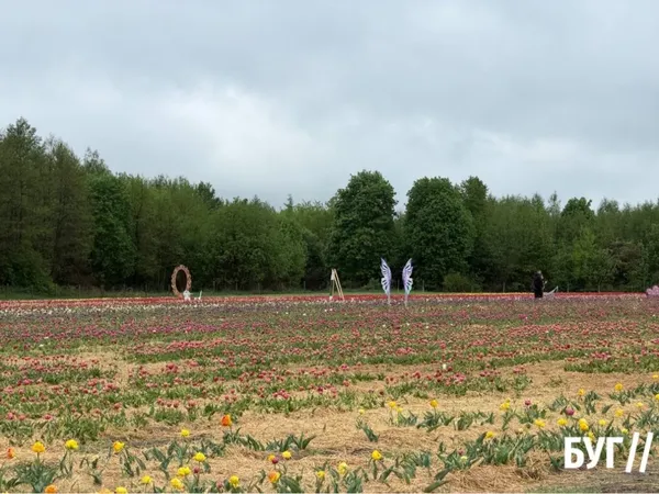 Тисячі квітів і нові фотозони: який має вигляд весняна казка у «Квітолісі» (фото)
