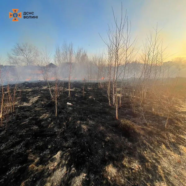 Вогонь знищує гектари: на Волині палають поля та очерет (фото)