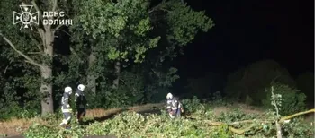 Негода повалила дерево на дорогу в Луцькому районі