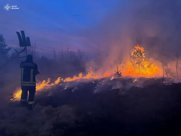 Трава, чагарники, торфовище: за добу на Волині вигоріло 40 гектарів землі (фото)