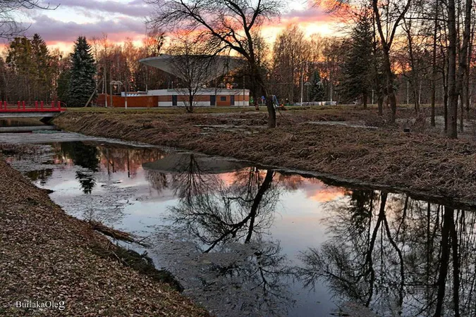 Показали загадковий захід сонця в луцькому парку (фото)