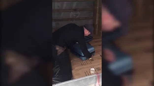 В «Ягодині» знайшли «зайві» валізи на понад пів мільйона гривень (фото, відео)