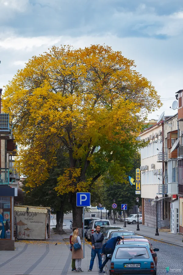 Краса осіннього Луцька у фото (фото)