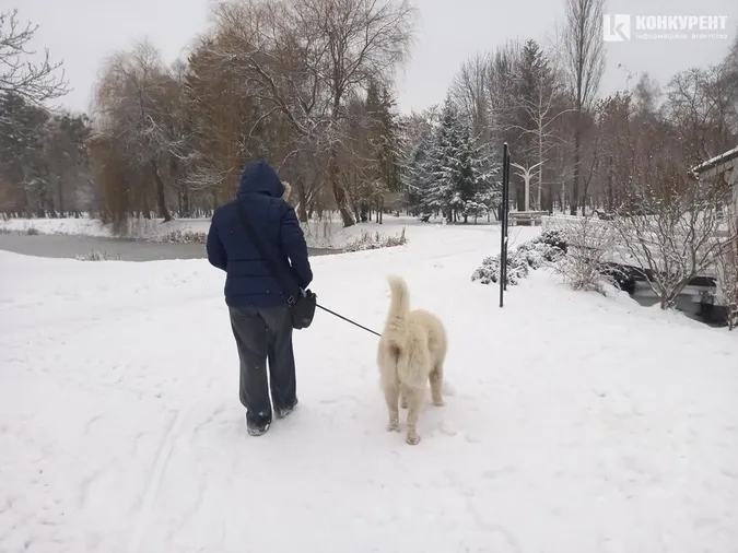 Сніжно і безлюдно: зима у Центральному парку Луцька (фото)