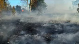 В автентичному поліському селі Сваловичі вирувала пожежа (фото)
