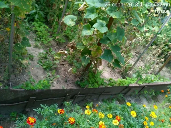 Луцькі вулиці очистили від парканів і обмежувачів (фото)