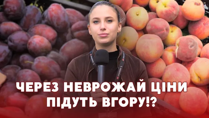 Ящики порожніють за хвилини: що масово розгрібають на ринку у Луцьку (відео)