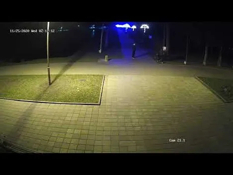 У парку Луцька потрощили майно: муніципали просять розпізнати вандалів (відео)