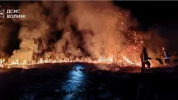 Підпали чи кинуті абиде недопалки: на Волині за добу вигоріли гектари сухостою (фото)