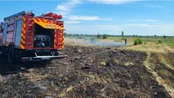 Вогонь охопив півтора гектара: на Волині горіли суха трава, чагарники та торф’яник (фото)