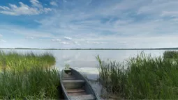 На Волині є загадкове озеро, де за сотні метрів від берега вода лише до колін (фото)