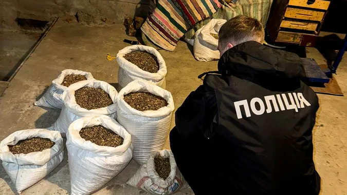 Бізнес на «сонячному» камінні: на Рівненщині викрили чергових бурштинових ділків