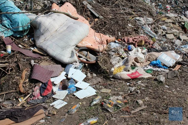 Околицю волинського міста закидали сміттям (фото)