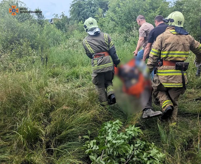 Дерево вбило чоловіка та «відрубало» громаду на Прикарпатті від світла (фото)