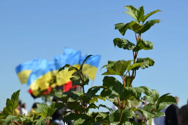 «Зв'язок поколінь»: на Волині висадили калину в пам'ять про Героїв УПА (фото, відео)