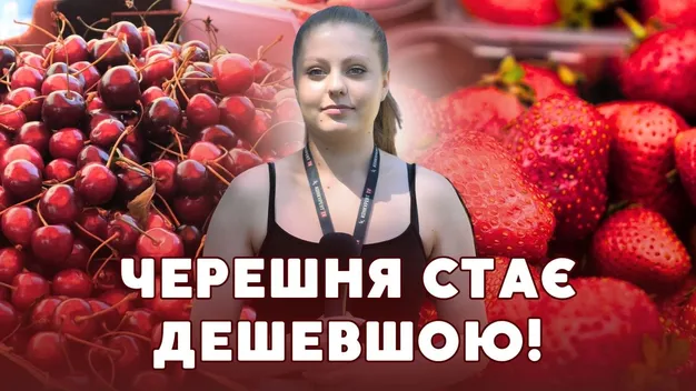 Ягоди дешевшають: які ціни на полуницю та черешню на луцькому ринку (відео)