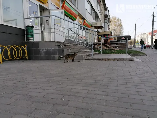 «Карантинний» Луцьк у фото