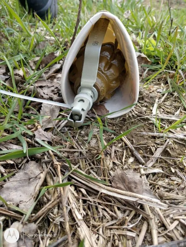 Complete demining of Ukraine will take more than 5 years