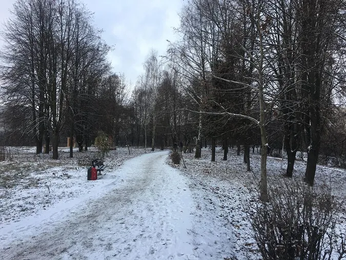 Луцьк накрило снігом (фоторепортаж)
