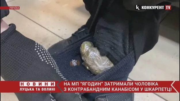 На «Ягодині» пасажир намагався провезти наркотики у шкарпетці (відео)