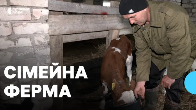 Сімейні ферми на Волині: чи вигідно здавати молоко (фото, відео)