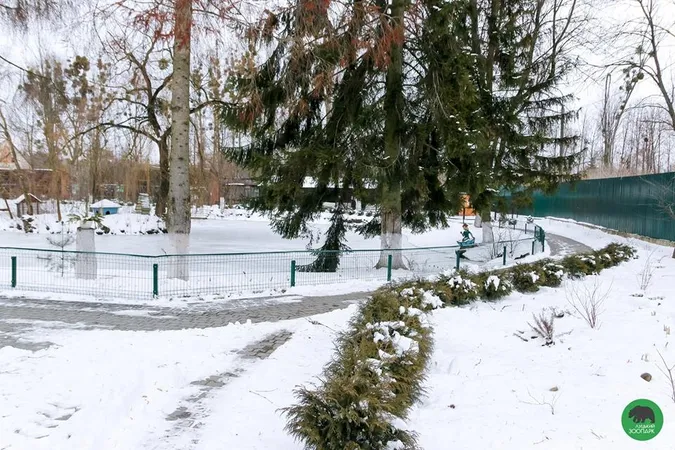 У Луцькому зоопарку «ловили» останні зимові кадри (фото)
