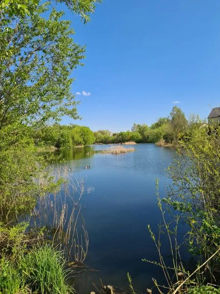 Синьо, зелено і тихо: весна на Теремнівських ставках (фото)