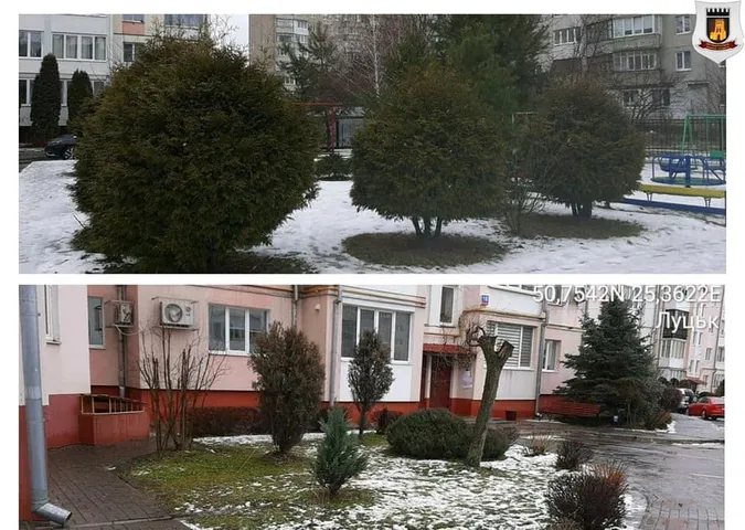 Лучанам нагадали, що городам у місті – не місце (фото)