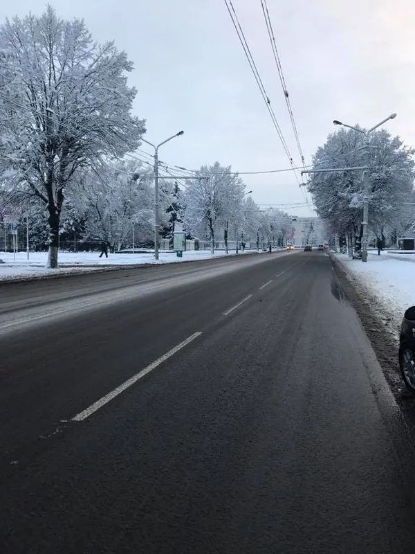 У Луцьку залучили більшу частину снігоприбиральної техніки (фото)