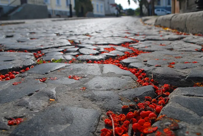 Потеплішає: погода в Луцьку на середу, 20 жовтня