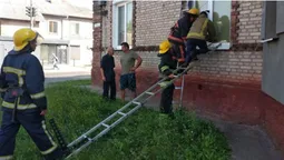 На Волині надзвичайники допомогли бабусі й знищили гніздо шершнів (фото)