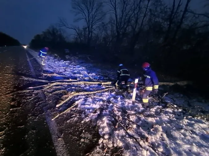 У Луцькому районі буревій повалив дерево на дорогу (фото)