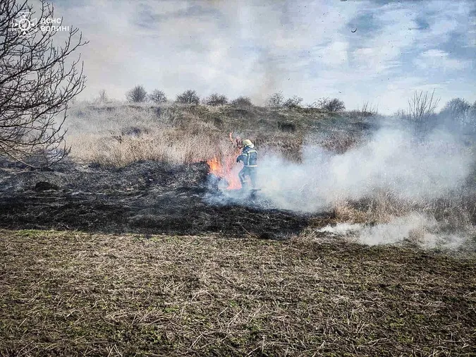 На Волині палають поля та дачні масиви (фото)
