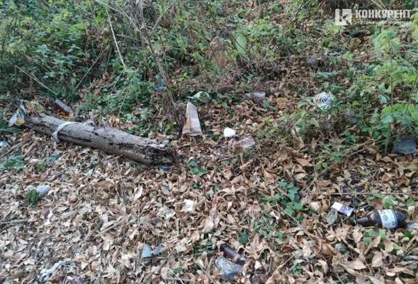 Без пияків, пляшок та шприців: як може змінитись частина берегу Сапалаївки (фото)