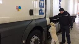 На "Ягодині" пес знайшов у вантажівці німця психотропи (фото)