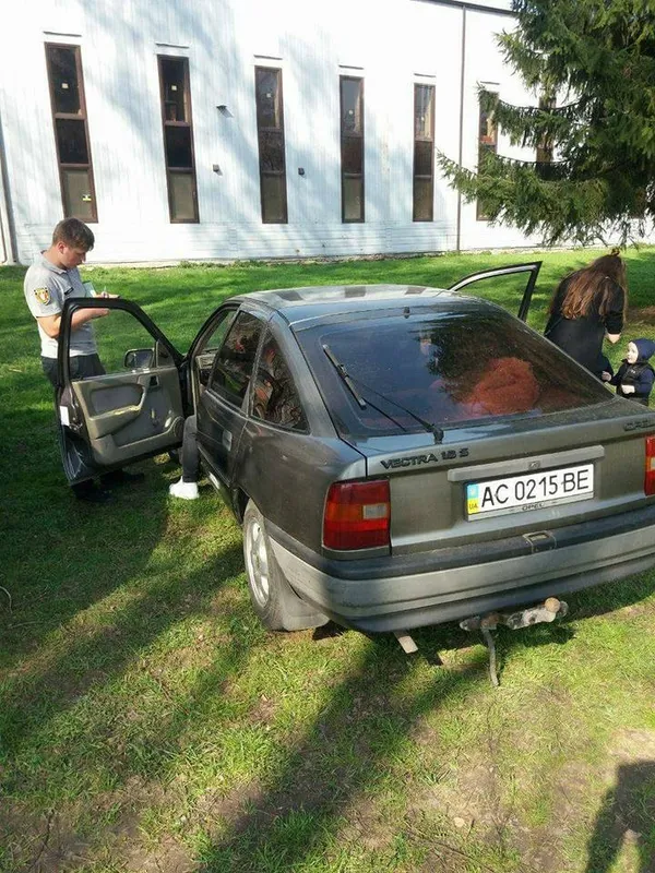 Муніципали знову наловили автопорушників у луцькому парку (фото) 