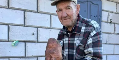 Заважила понад кілограм: на Волині чоловік виростив картоплину-гіганта