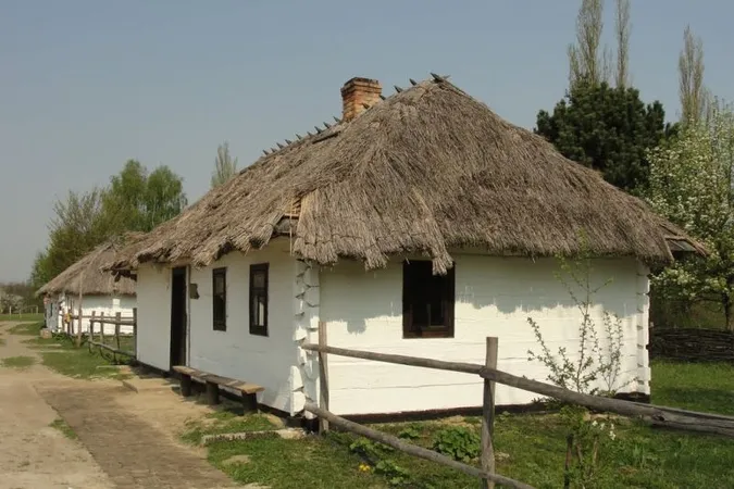 На Волині іноземці відновлюють музей (відео)